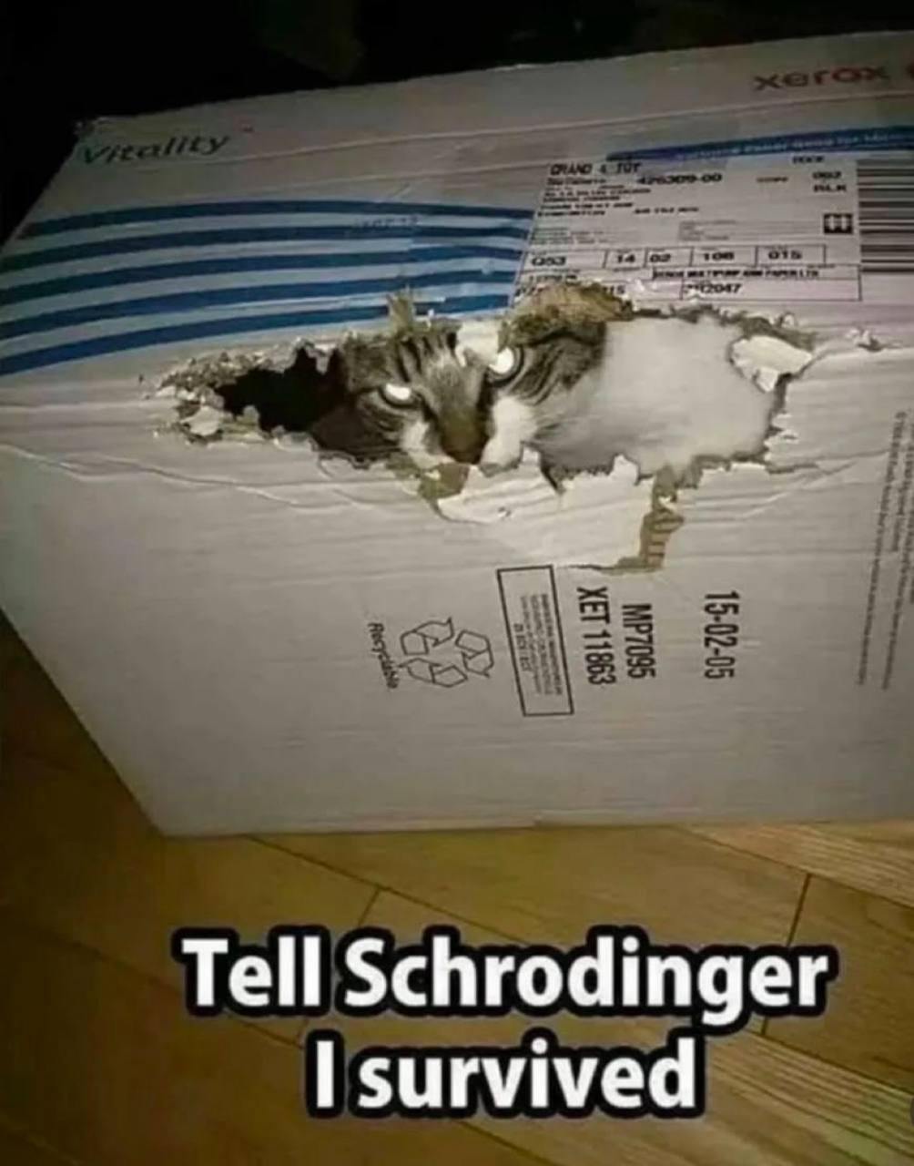 Photo from September 5, 2025